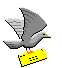 Grey Dove